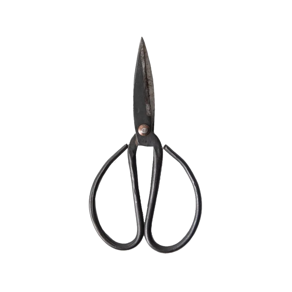 Black herb scissors 21cm