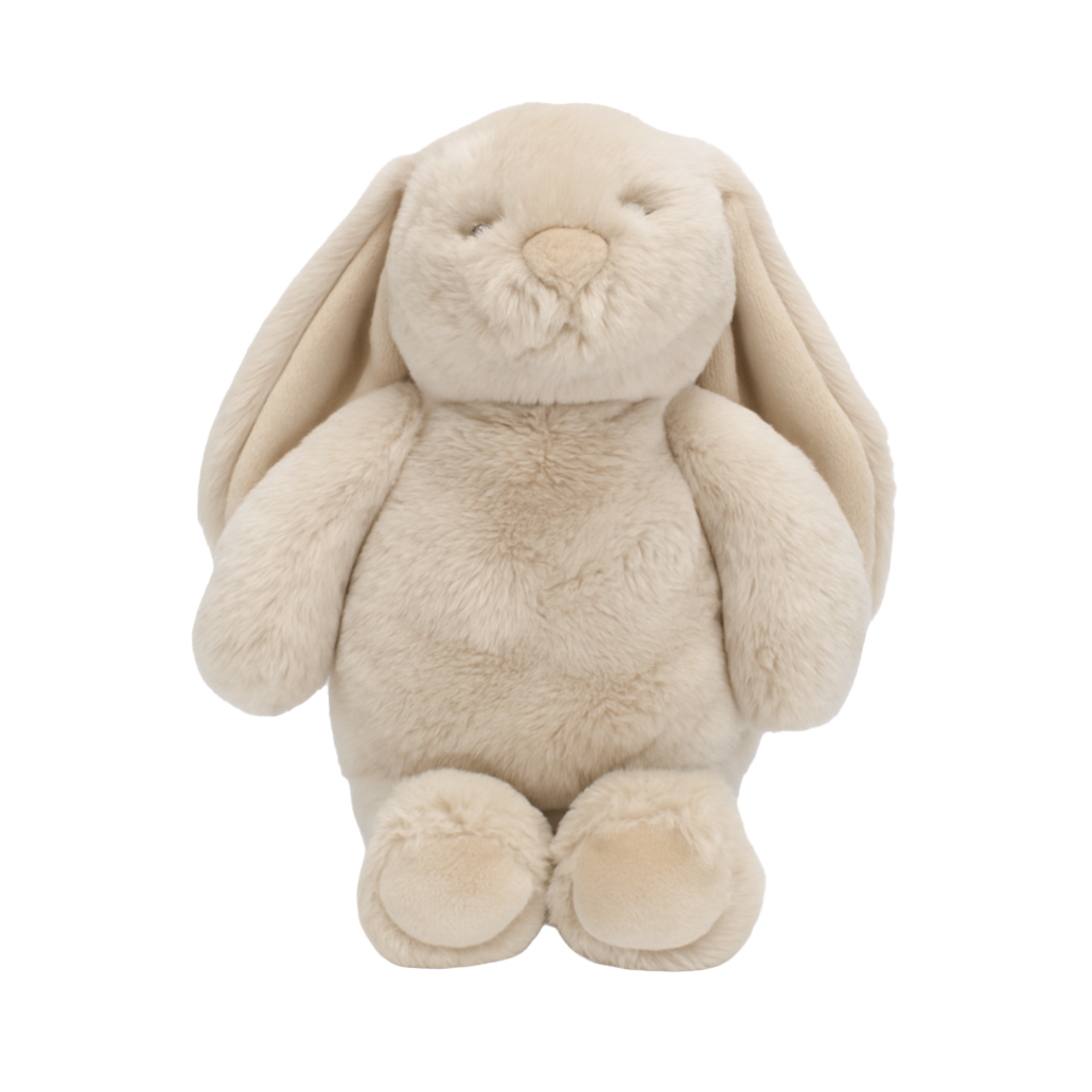 Flopsy plush bunny toy biscuit