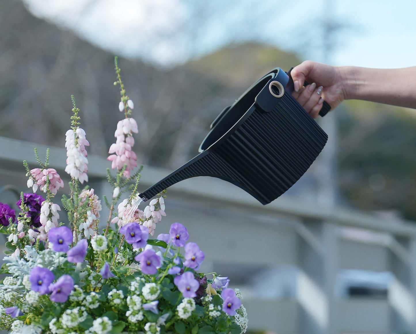 Beetle watering can 1.5 litre white