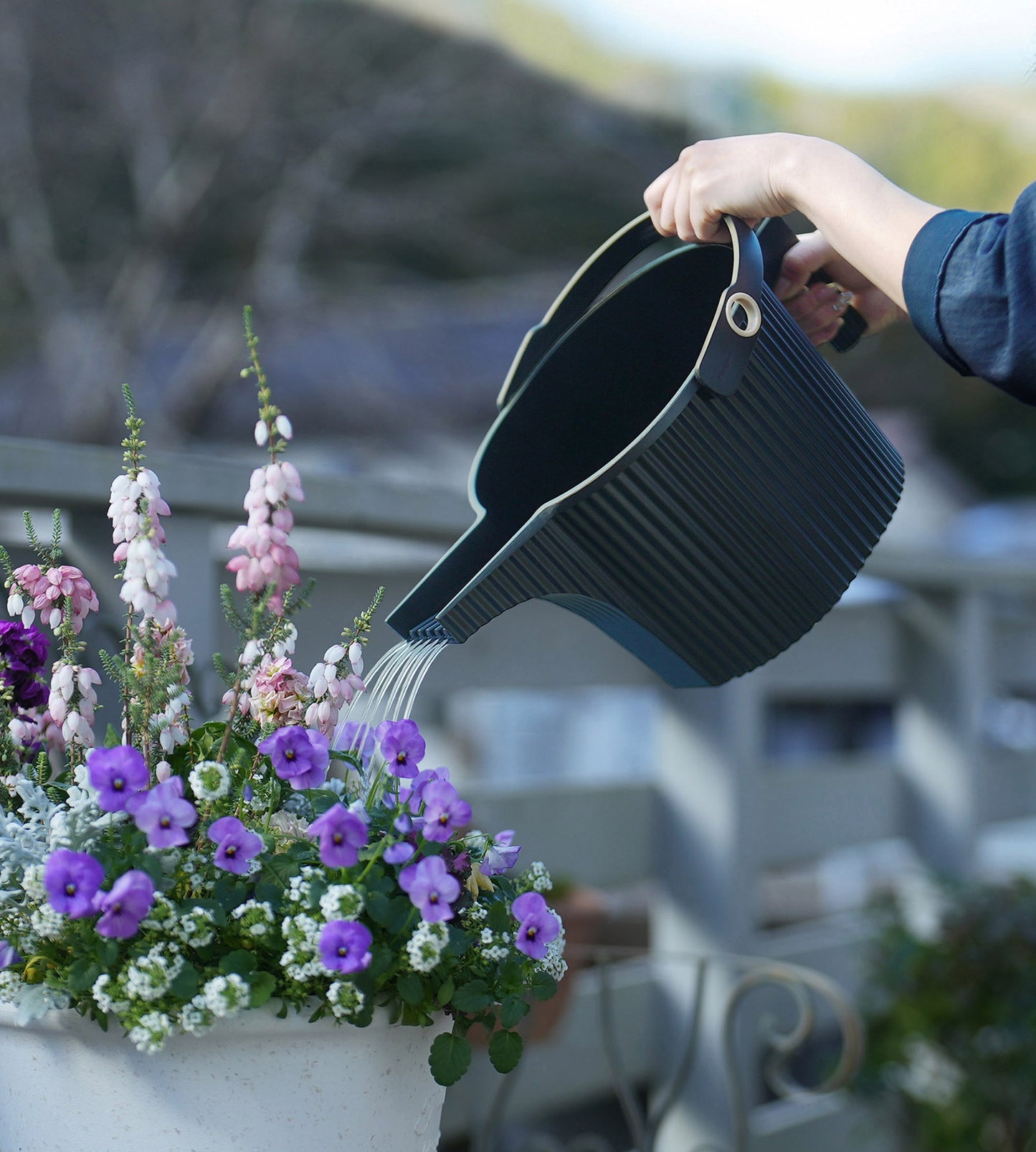 Beetle watering can 5 litre black