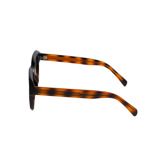 Malibu sunglasses black/tort (660)