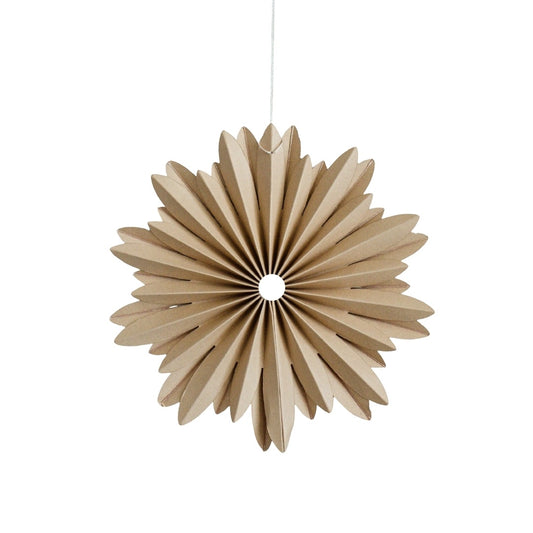 Hanging paper star ornament flaxseed