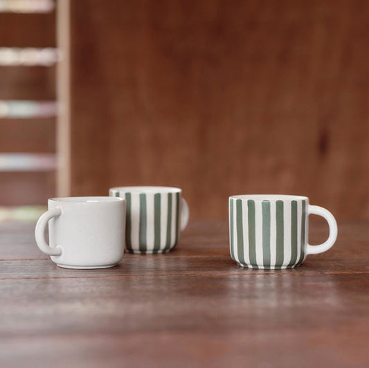 Paloma striped cup ivy