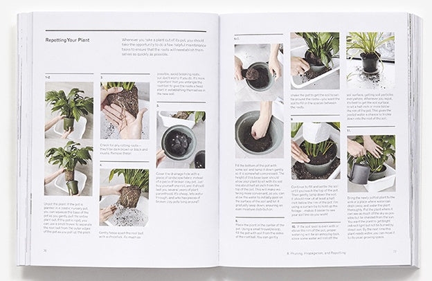 The New Plant Parent book