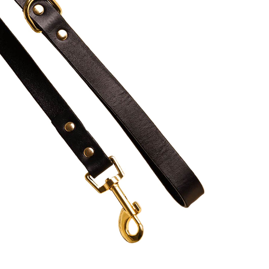 Leather dog lead black