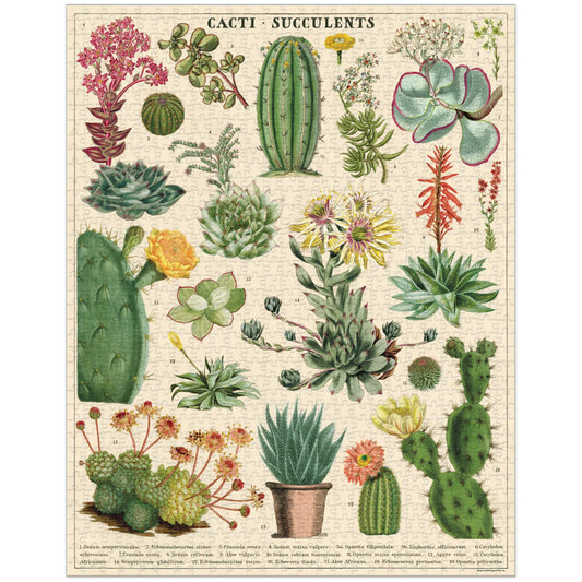 1000-piece vintage jigsaw puzzle cacti & succulents