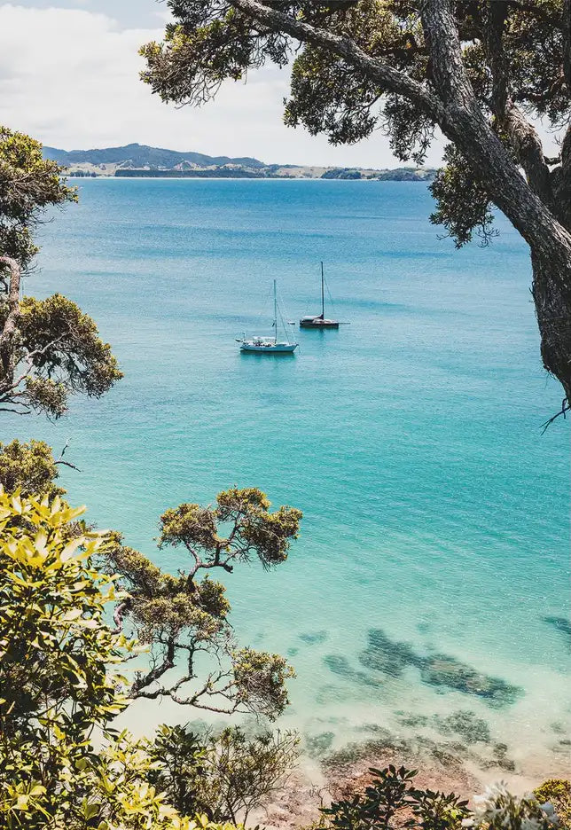 Summer Solitude photographic print