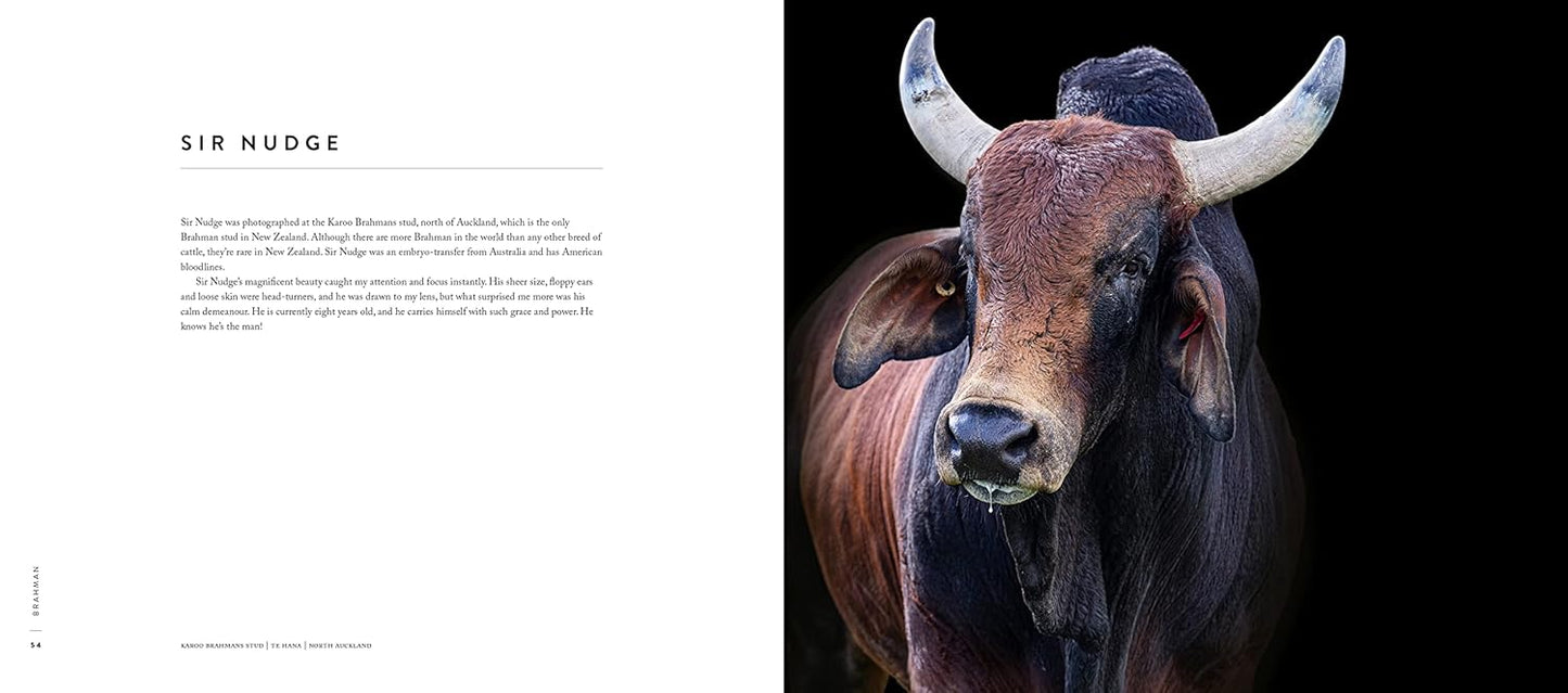 A Load of Bull book