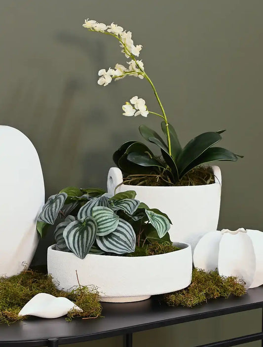 Artisan terracotta footed decorative bowl 33cm white