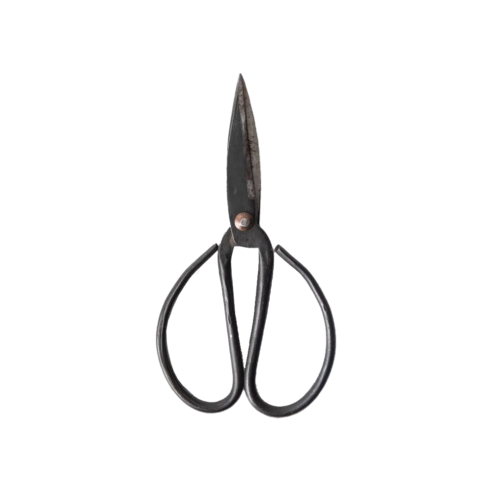 Black herb scissors 17cm