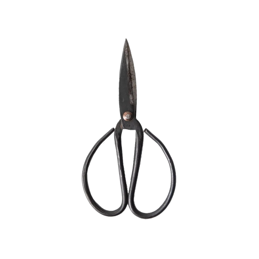 Black herb scissors 17cm