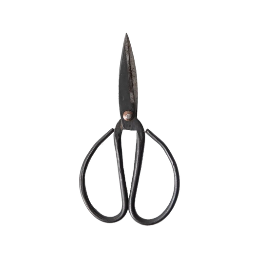 Black herb scissors 21cm