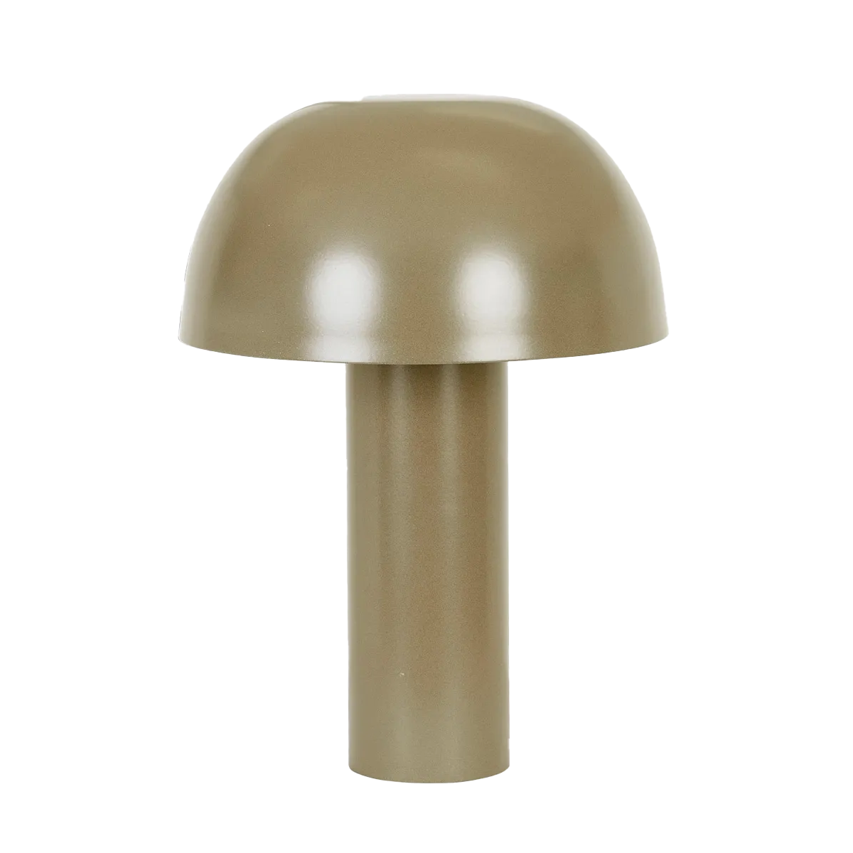 Easton cupola table lamp fern