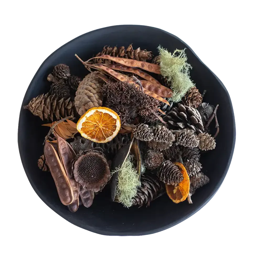 Forest floor potpourri amberoud