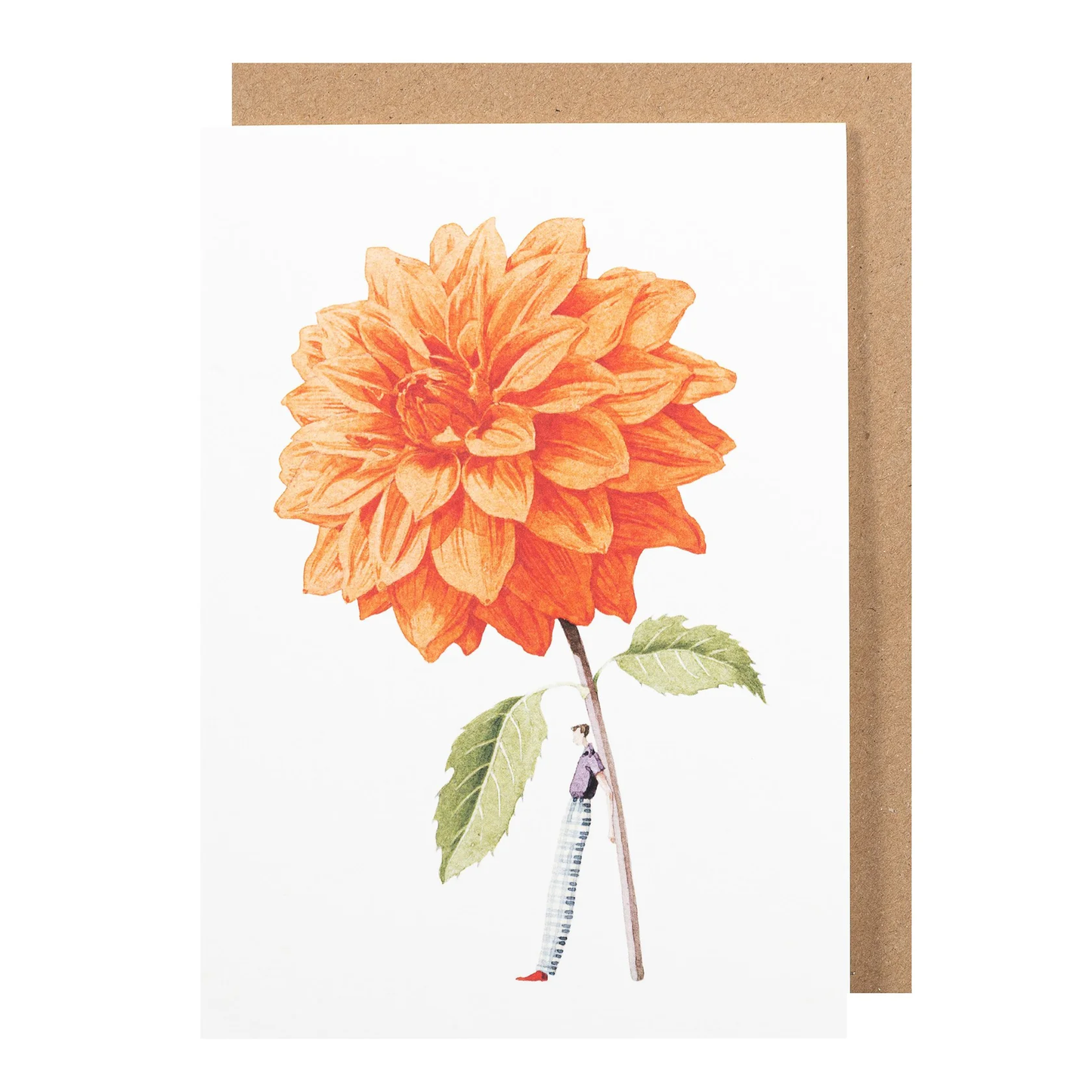 Orange dahlia illustration card