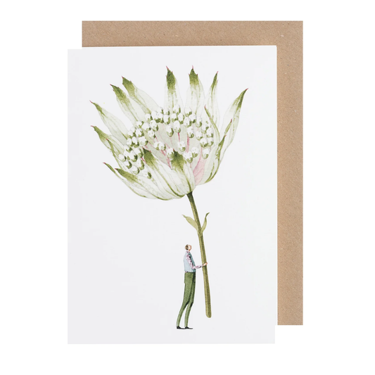 Astrantia illustration card