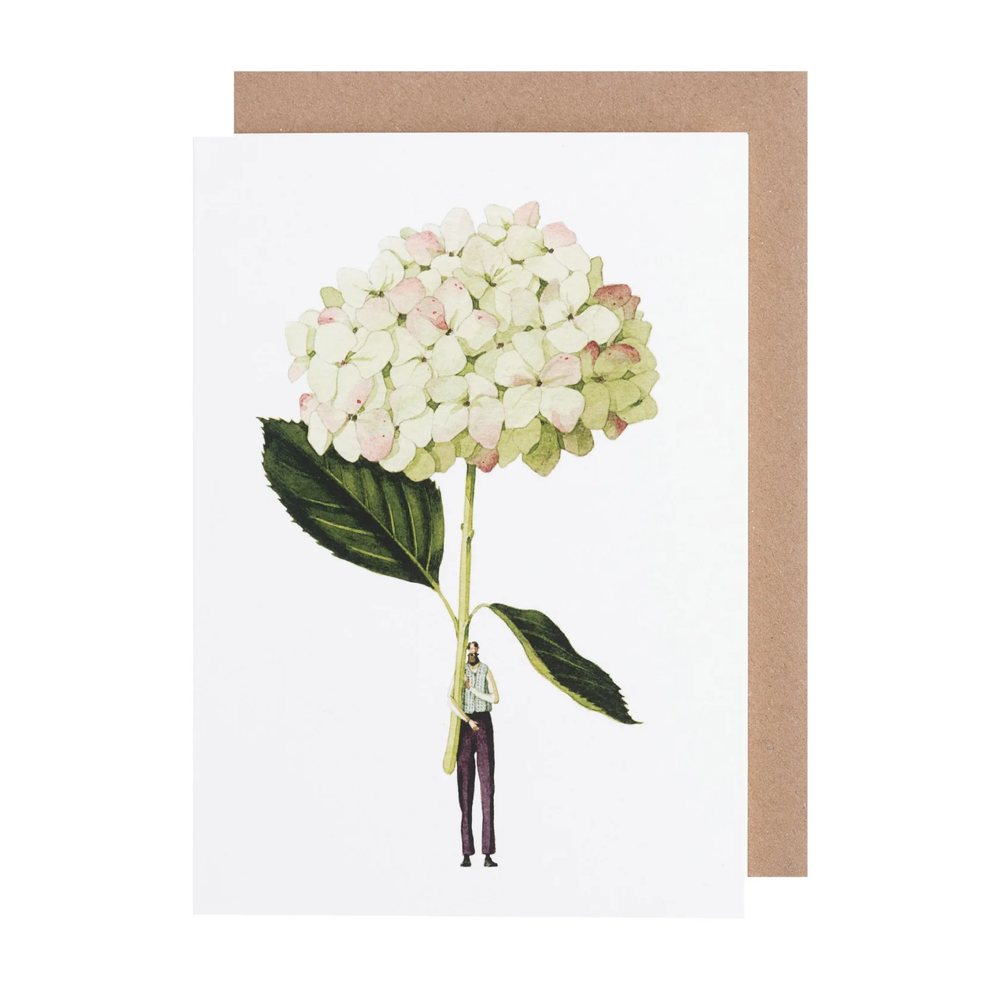 Green hydrangea illustration card