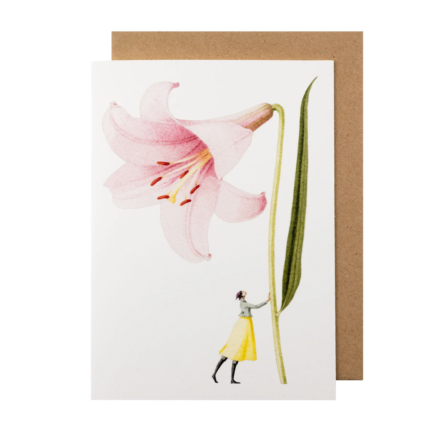 Pink lily illustration card