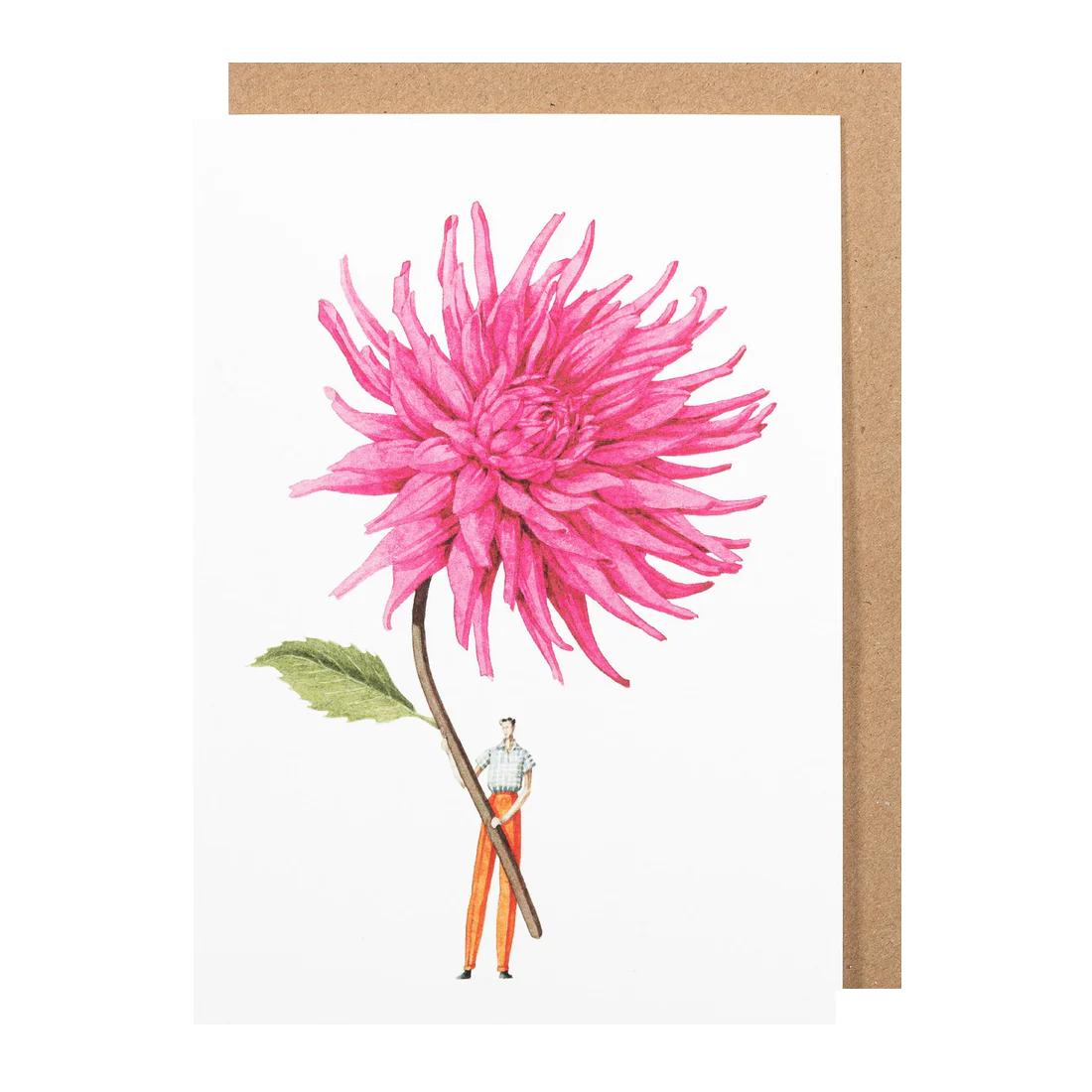 Laura Stoddart pink dahlia illustration card