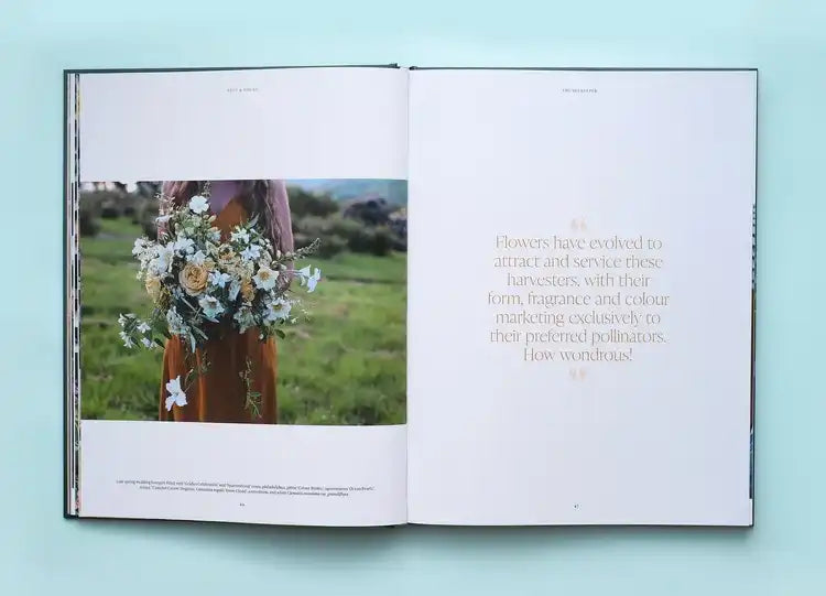 Lost & Found book