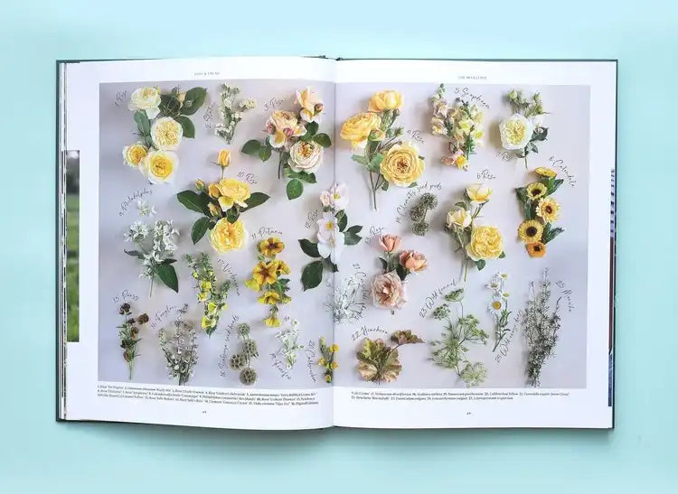 Lost & Found book