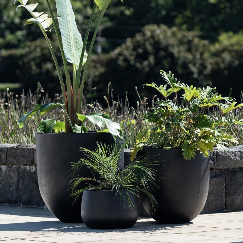 Mohaka large concrete planter black