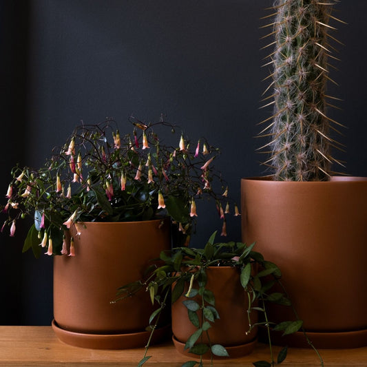 Small Oslo planter cinnamon