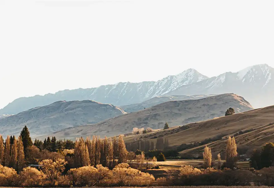 Picturesque view by the lake photographic print
