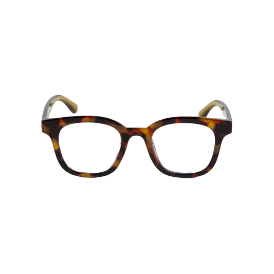 Fitzroy reading glasses tort & khaki (188)