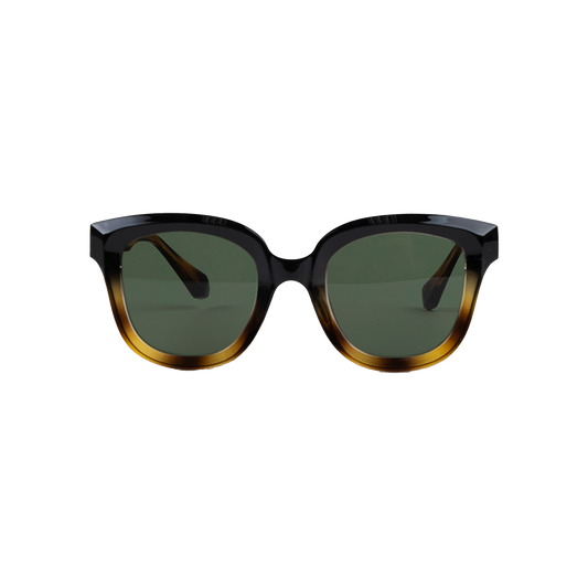 Manhatten sunglasses black/tort (663)