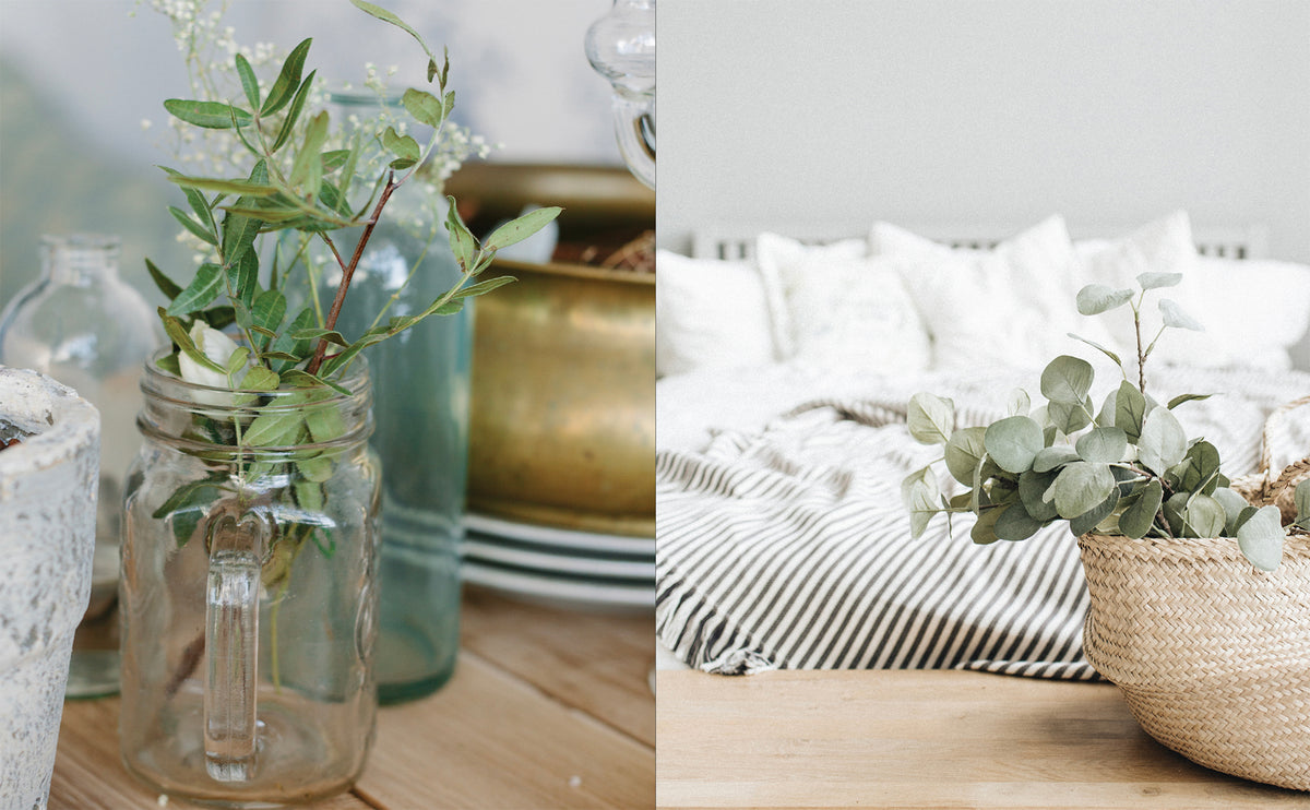 Life & Style: The Coastal Home book