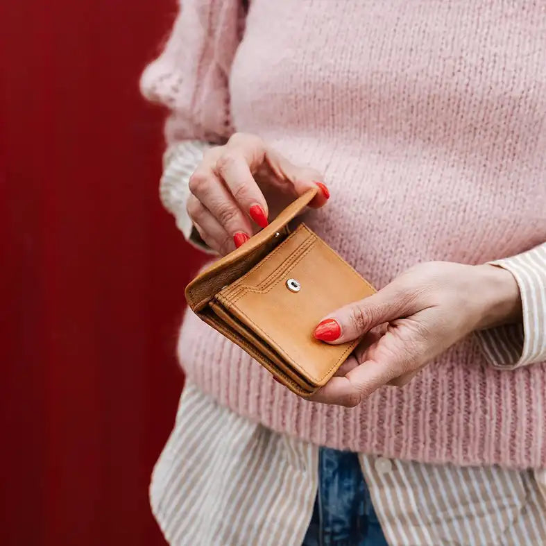 Dusky Robin kitt purse sand