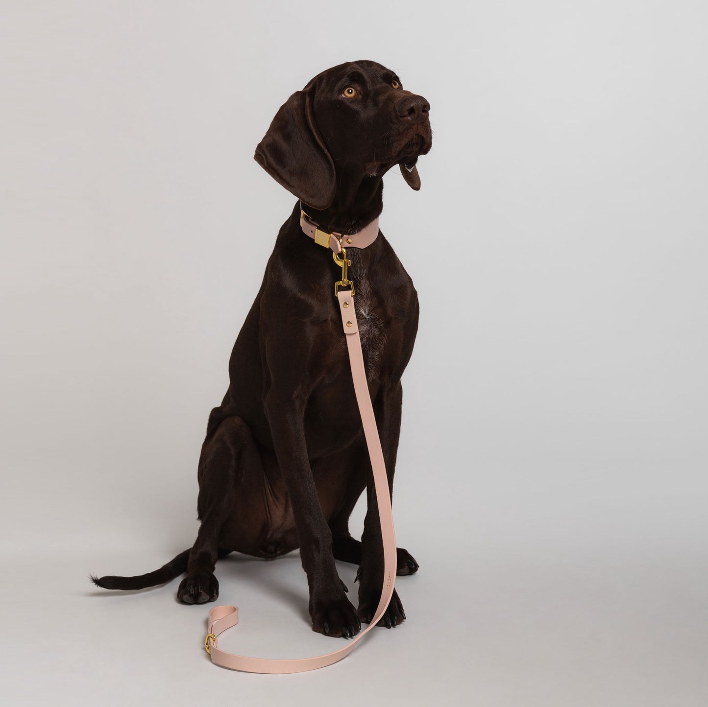 Leather dog collar large blush