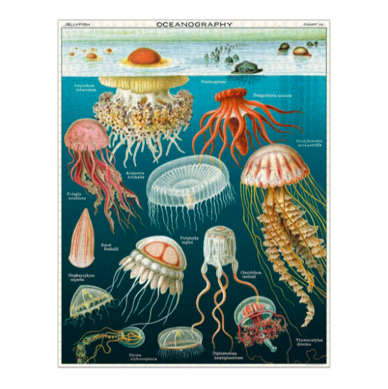 1000-piece vintage jigsaw puzzle jellyfish