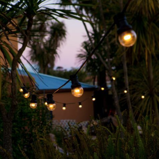 Outdoor LED festoon lights clear bulb